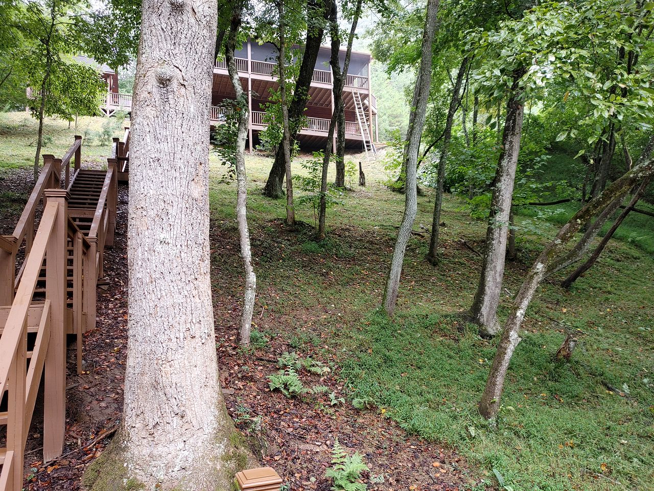 Incredible Cabin with Fireplace and Hot-tub Next to Hiking Trails in Mineral Bluff, Georgia