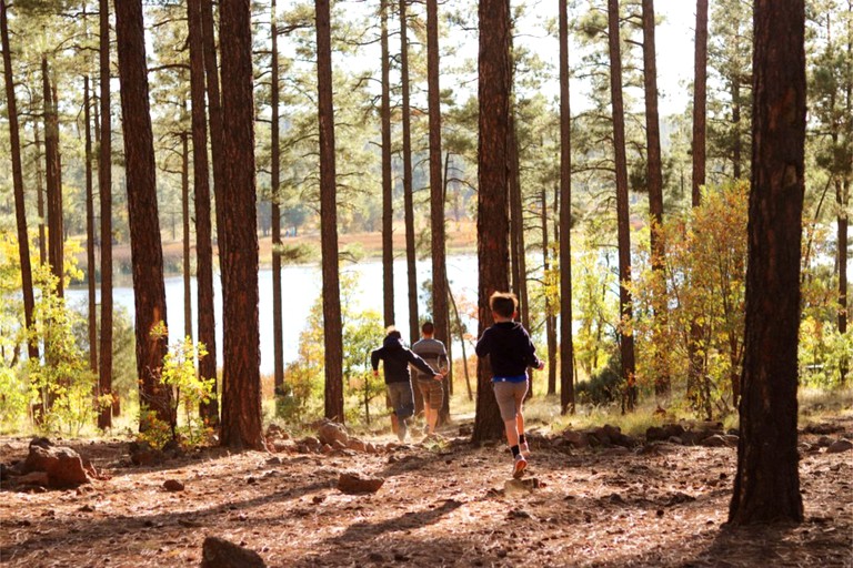 Cabins (United States of America, Pinetop, Arizona)