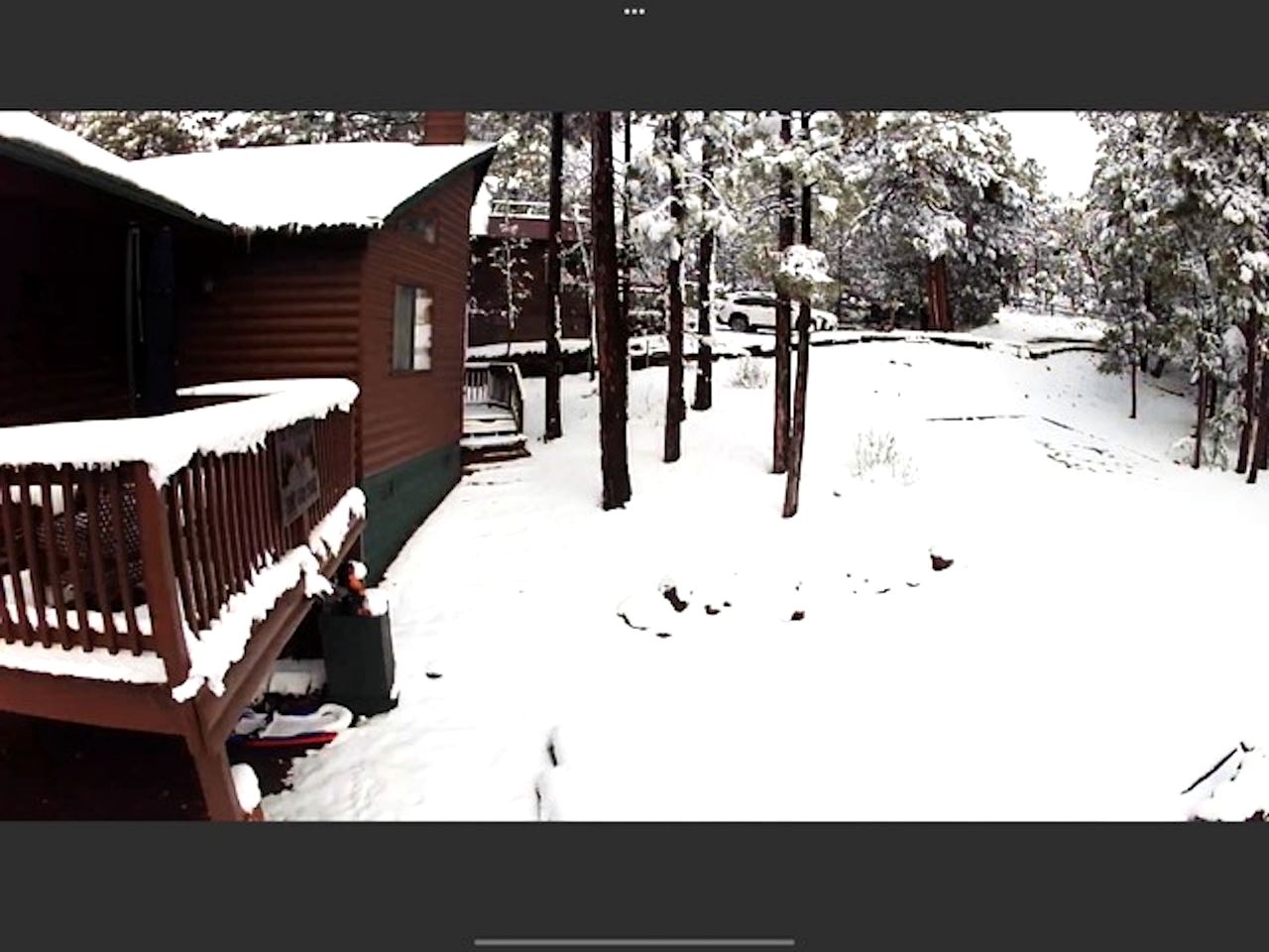 Incredible Log Cabin with Gorgeous Sights in Pinetop, Arizona