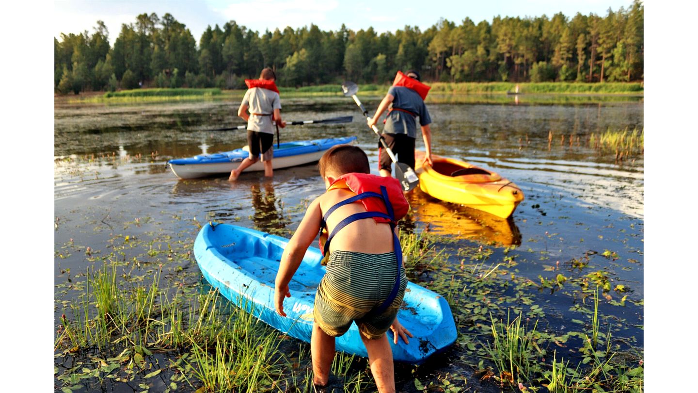 Incredible Log Cabin with Gorgeous Sights in Pinetop, Arizona