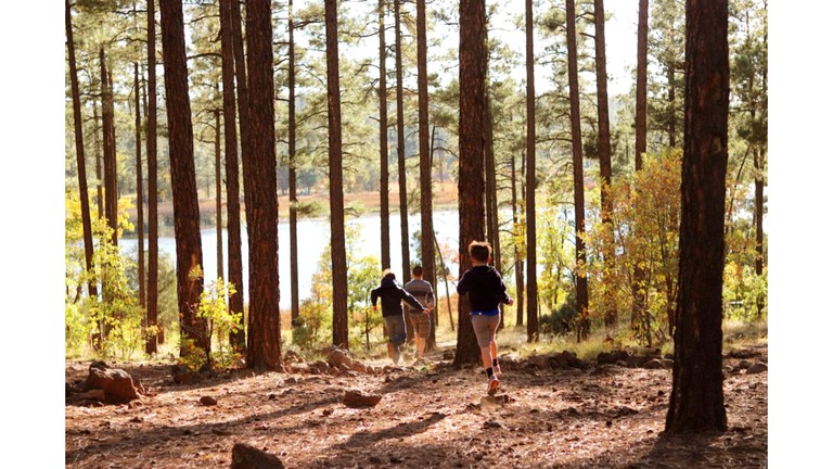 Cabins (United States of America, Pinetop, Arizona)