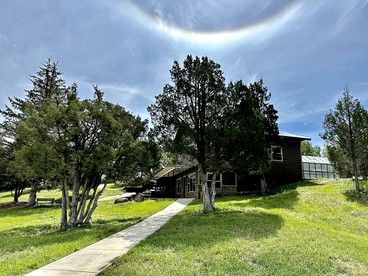 undefined photo 4