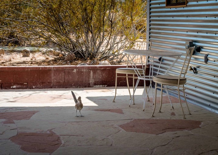 Vacation Rentals (United States of America, Twentynine Palms, California)