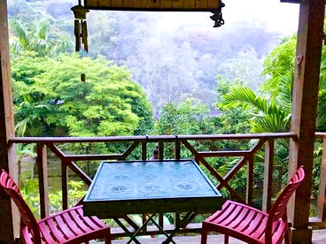 undefined photo 2