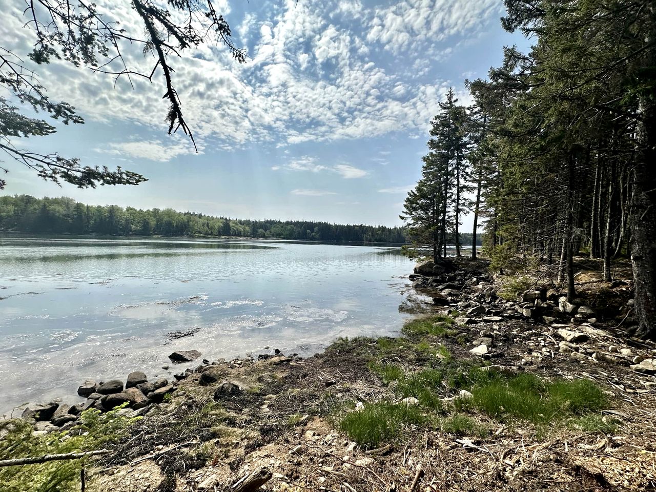 Incredible Secluded Cabin with Fire Pit in Milbridge, Maine