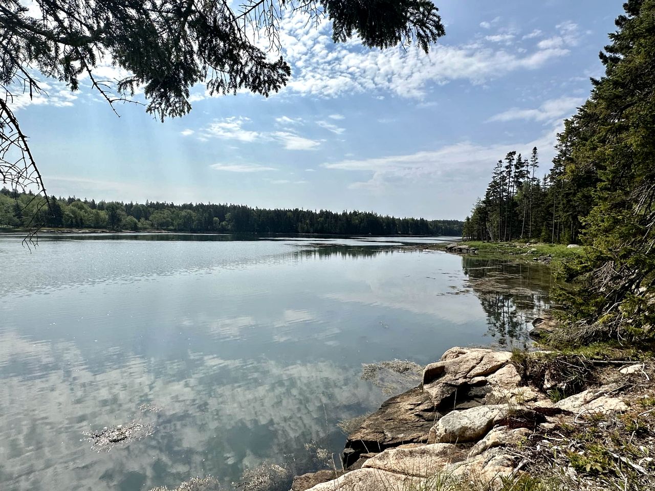 Incredible Secluded Cabin with Fire Pit in Milbridge, Maine