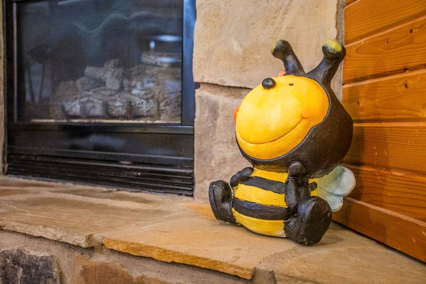 Incredible Secluded Cabin with Hot-tub in Gatlinburg, Tennessee