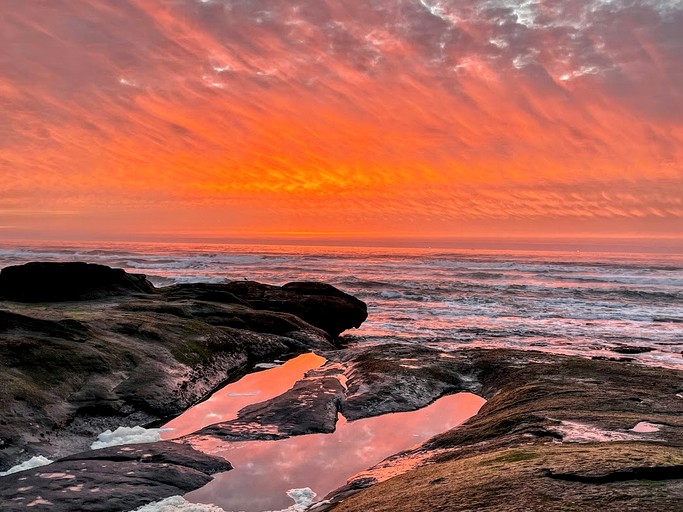 Tiny houses (United States of America, Waldport, Oregon)