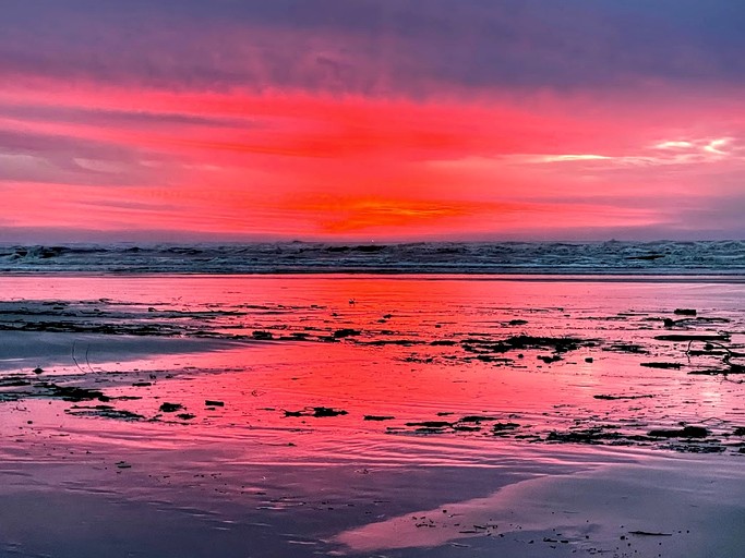 Tiny houses (United States of America, Waldport, Oregon)