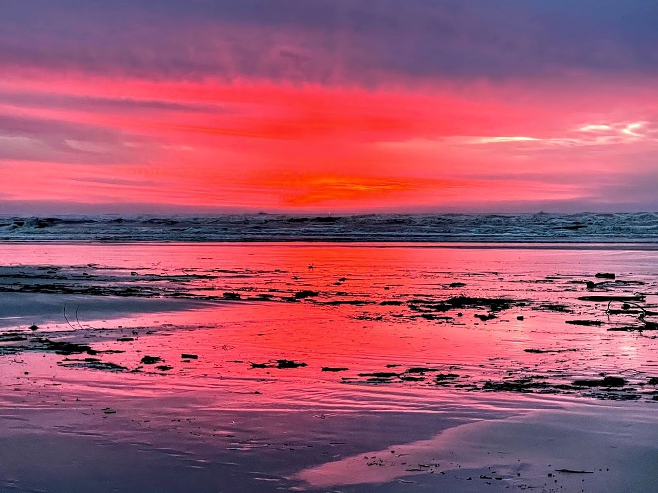 Incredible Tiny House with Fireplace in Waldport, Oregon