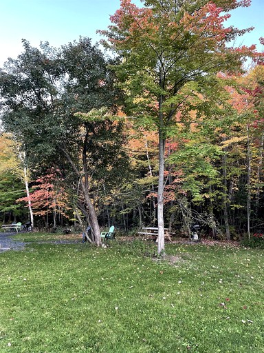 Cabins (United States of America, Greenville, Maine)