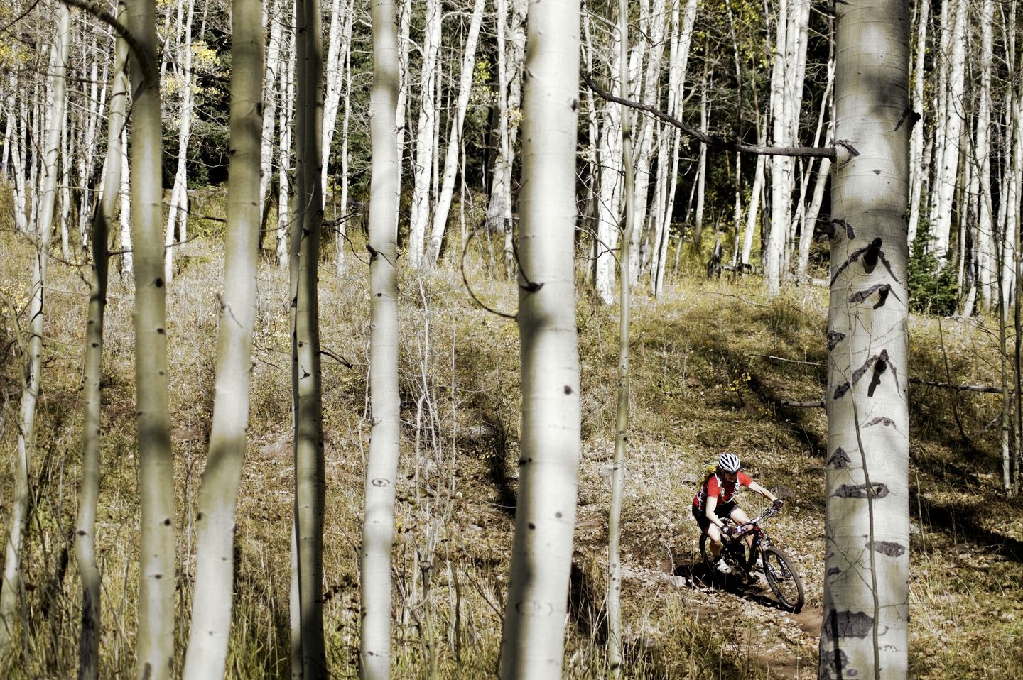 Outstanding Cabin with Barbecue, Hot-tub and Foosball in Granby, Colorado