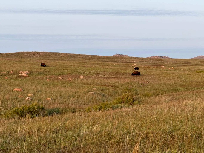 Vacation Rentals (United States of America, Medicine Park, Oklahoma)