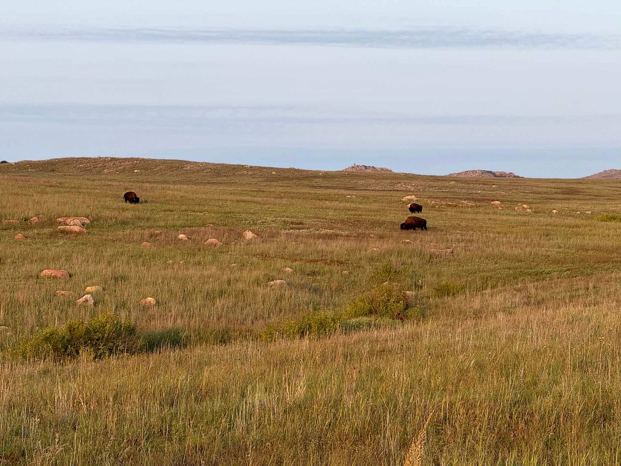 Charming Tiny House with Upper Deck near Fort Sill in Medicine Park, OK