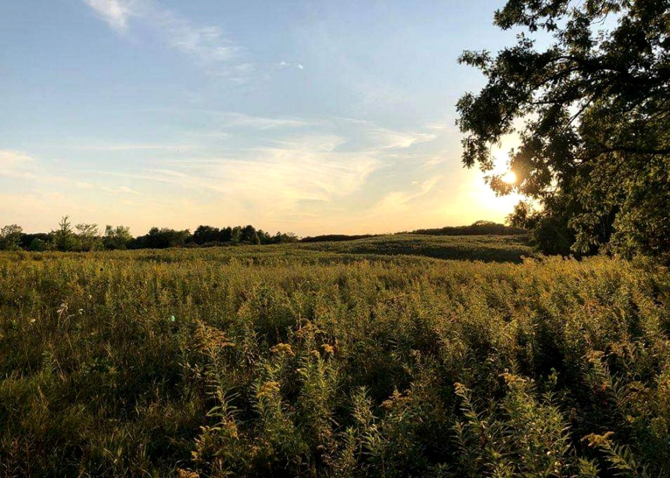 Incredible Secluded Tipi with Barbecue in Saint Croix Falls, Wisconsin