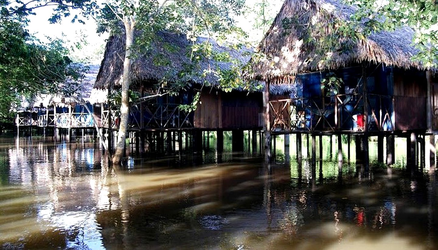 Intimate Rainforest Bungalows along the Yanayacu River of Peru