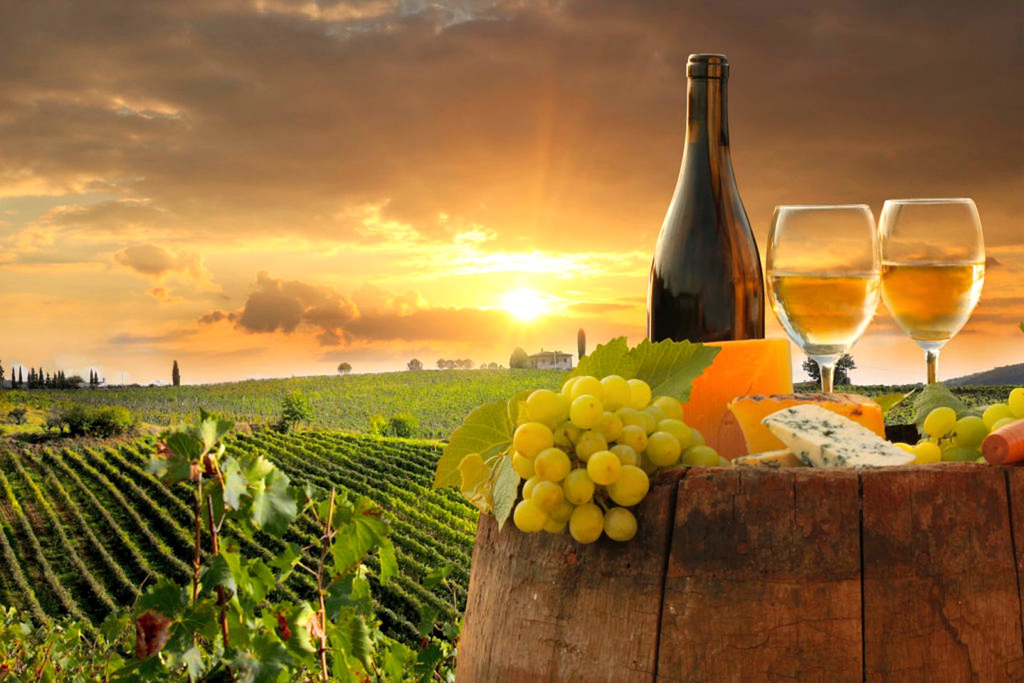 Intrepid Caravan Rental for Four Guests in Algarve, Portugal