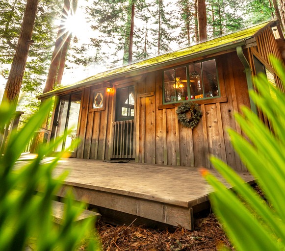 Tree Houses in Big Sur Redwoods