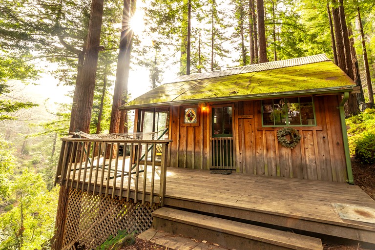 Tree house rental surrounded by forest in Carmel, California.