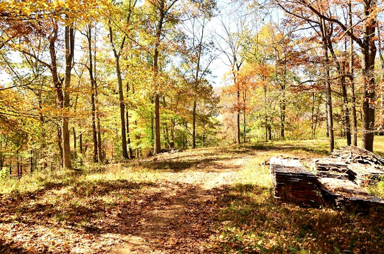 Nature Lodges (Marshall, North Carolina, United States)