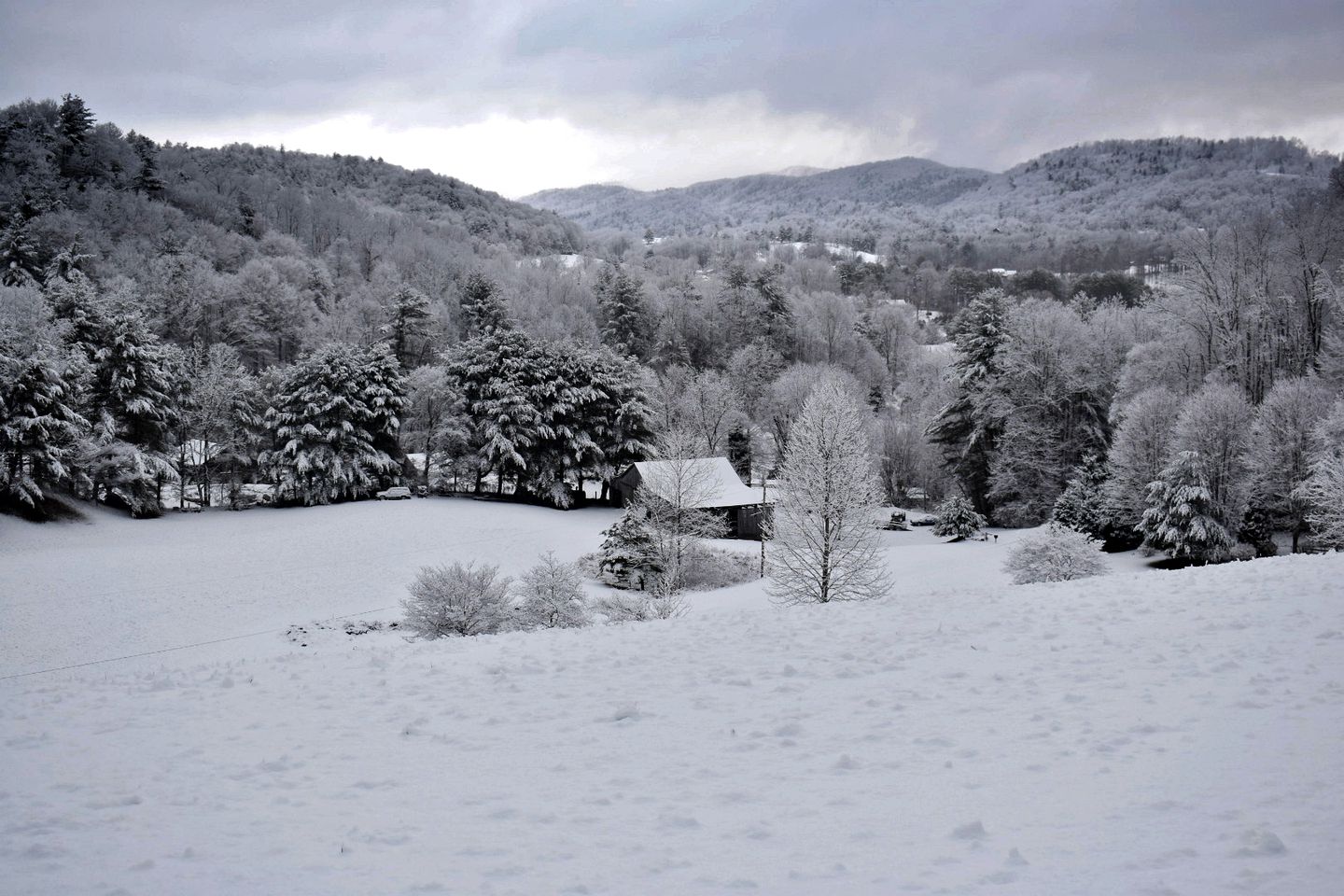 Unplug & Unwind: Glamping Getaway on Watauga Lake, Tennessee