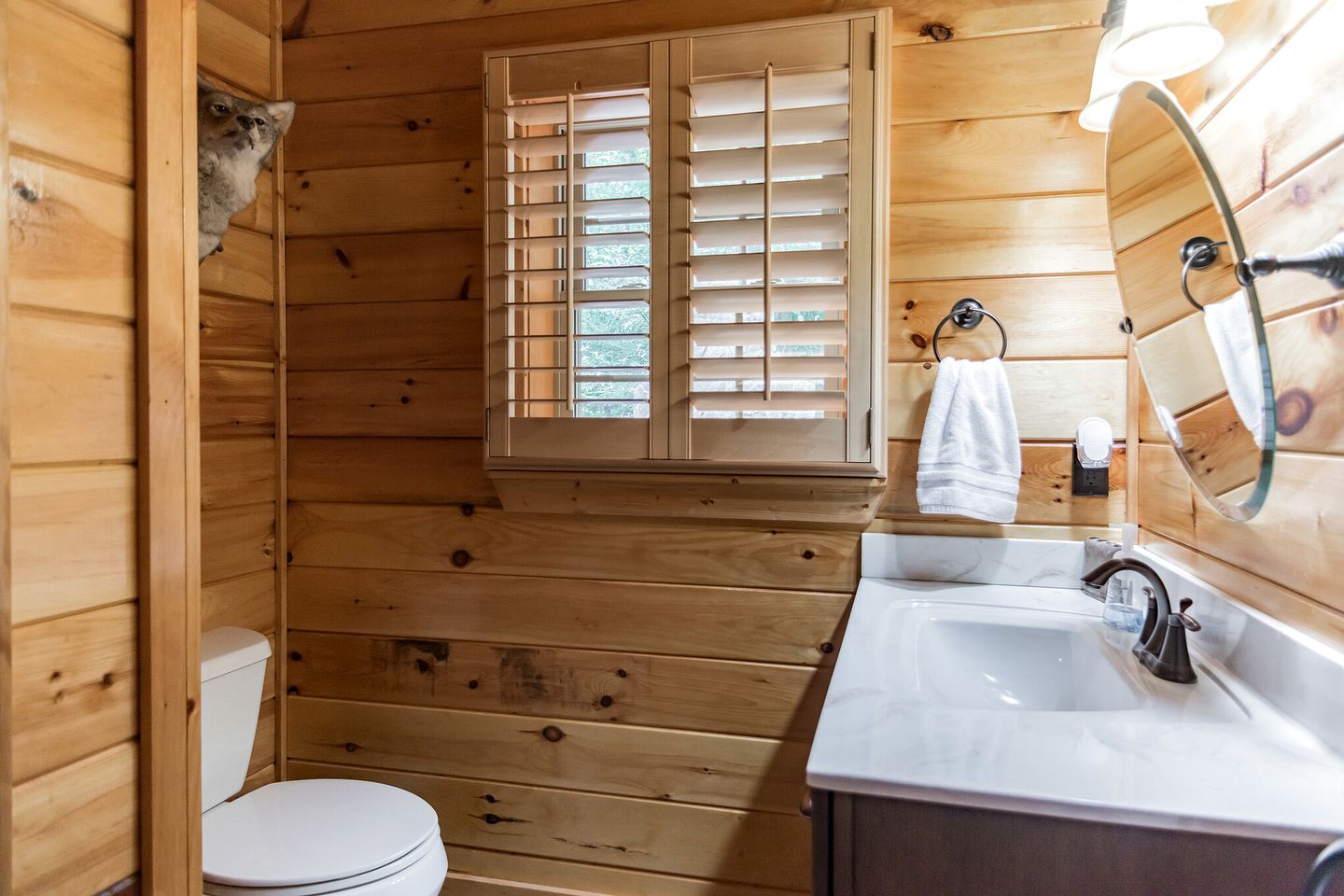 Unplug & Unwind: Glamping Getaway on Watauga Lake, Tennessee