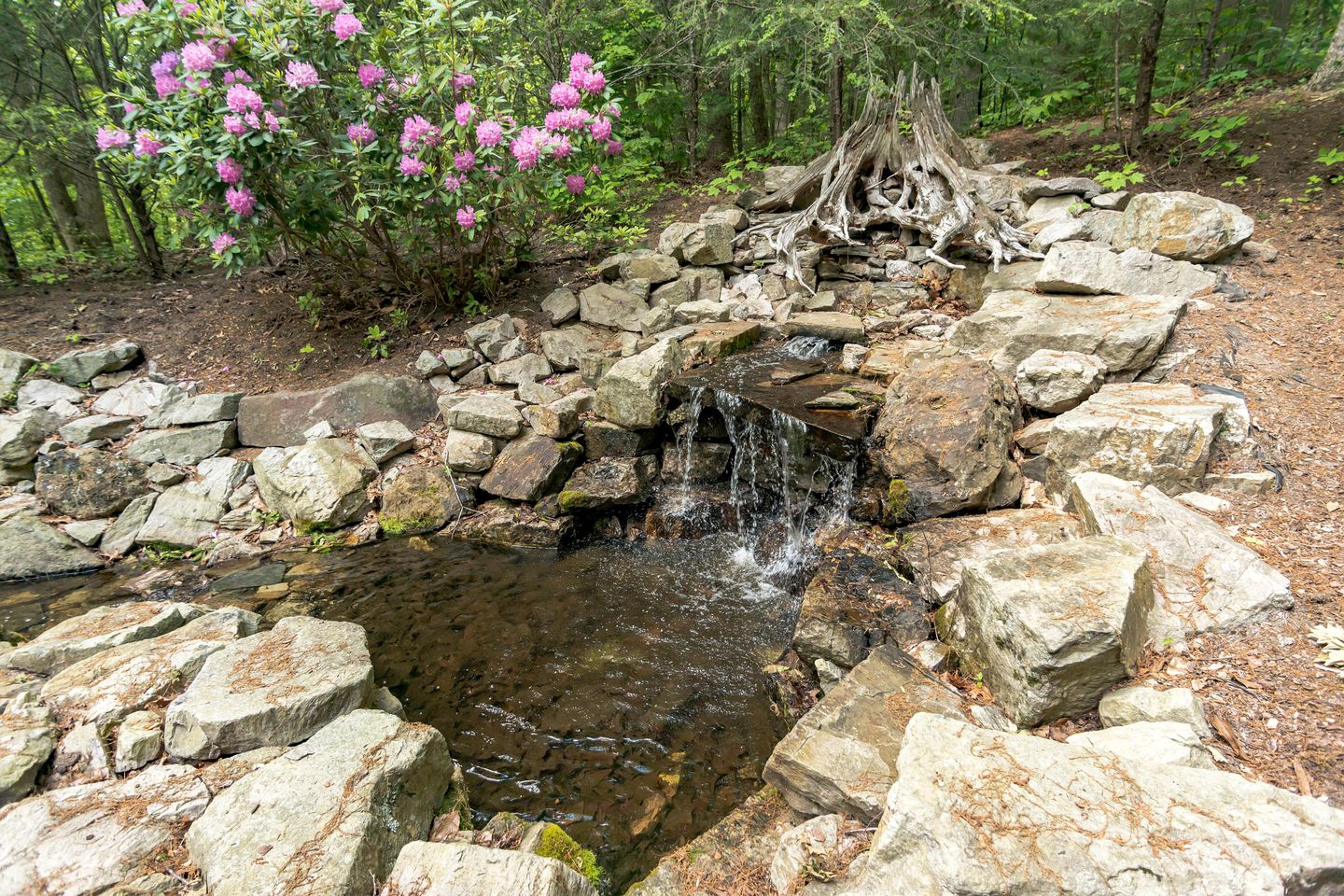 Unplug & Unwind: Glamping Getaway on Watauga Lake, Tennessee