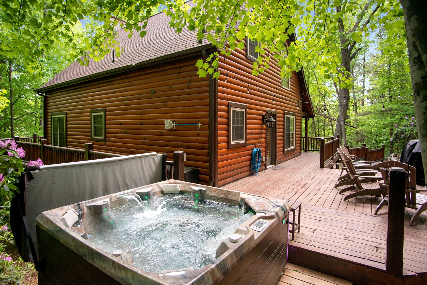 Unplug & Unwind: Glamping Getaway on Watauga Lake, Tennessee