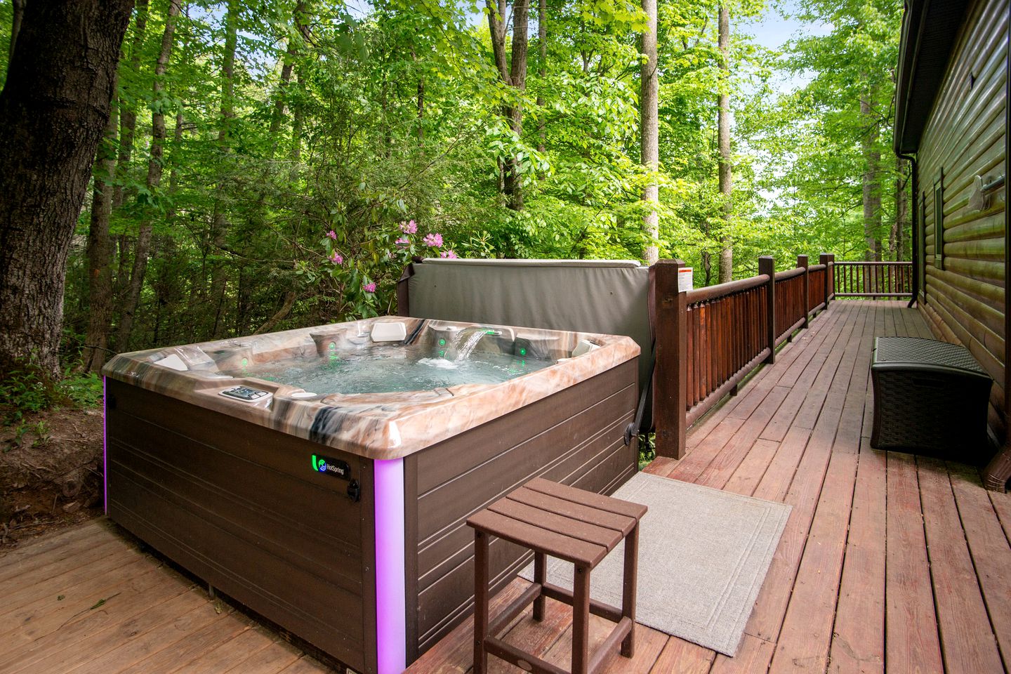 Unplug & Unwind: Glamping Getaway on Watauga Lake, Tennessee