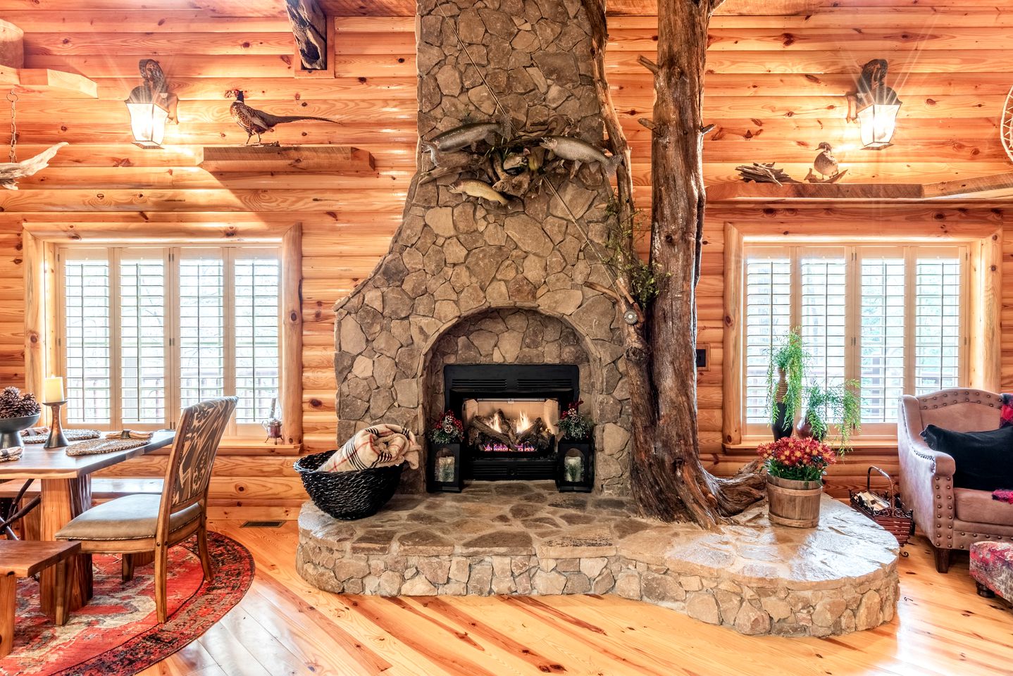 Unplug & Unwind: Glamping Getaway on Watauga Lake, Tennessee