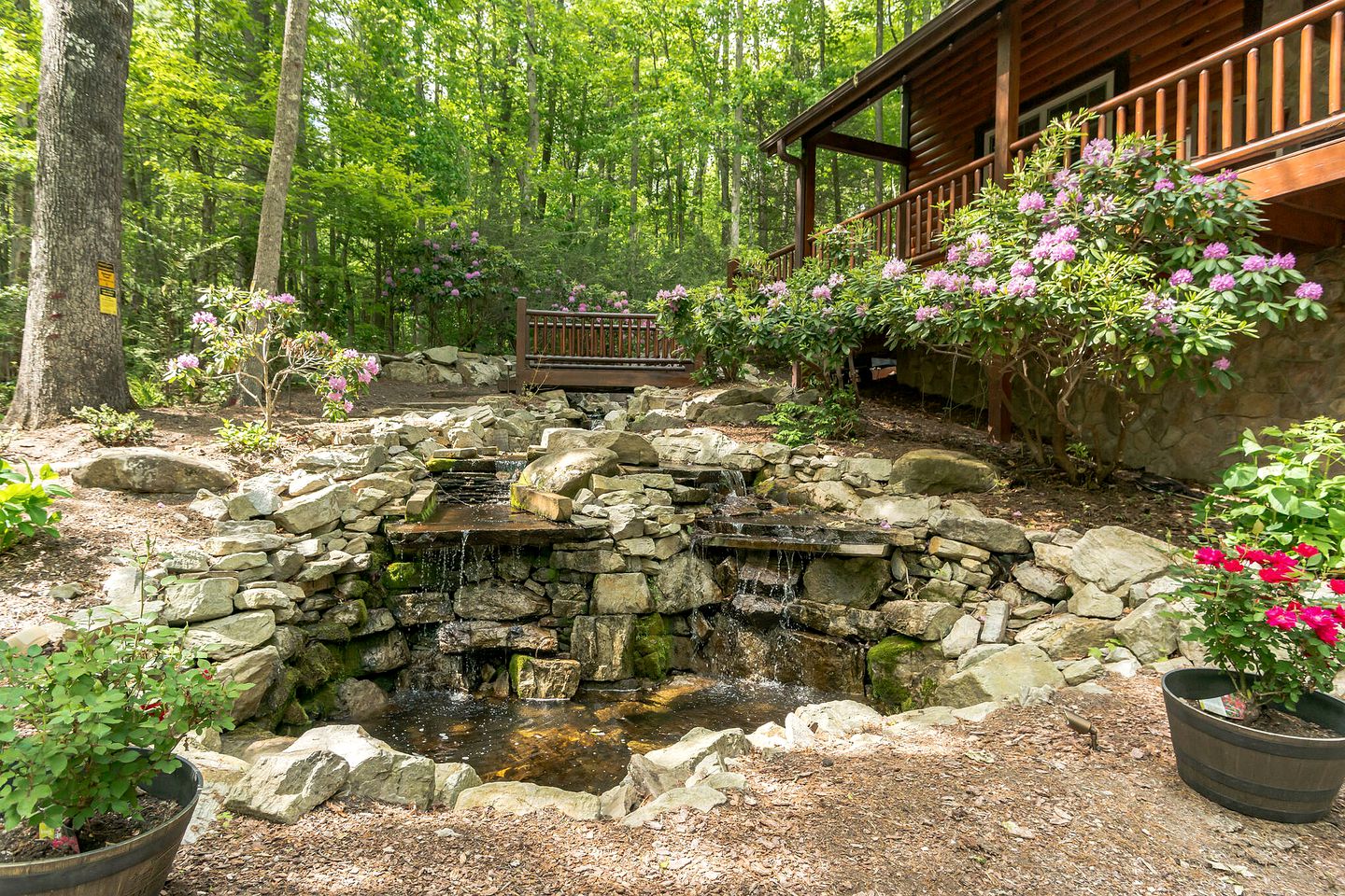 Unplug & Unwind: Glamping Getaway on Watauga Lake, Tennessee