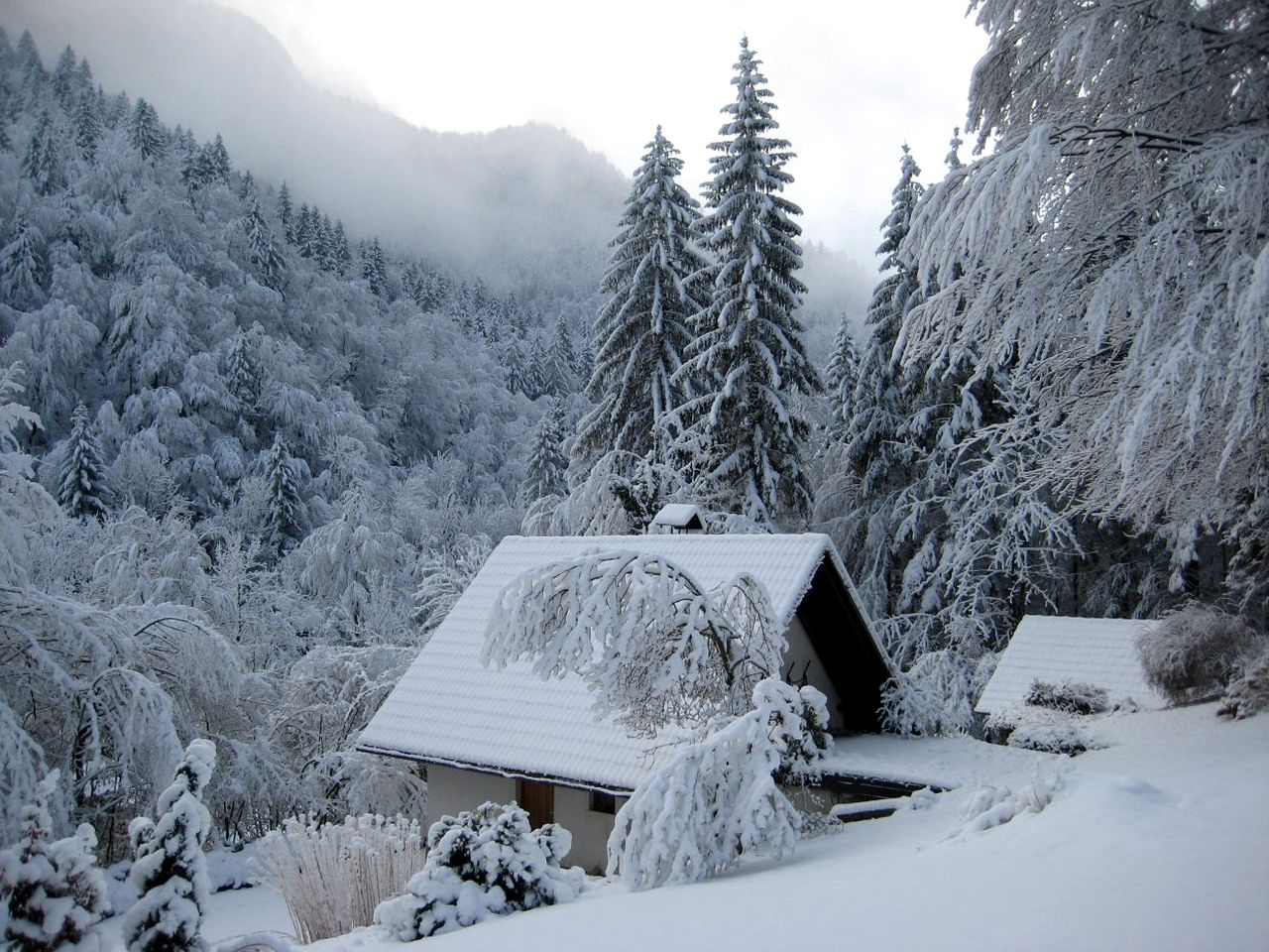 Family Friendly Chalet Getaway on a Private Glade in the Gorge near Ljubljana, Slovenia