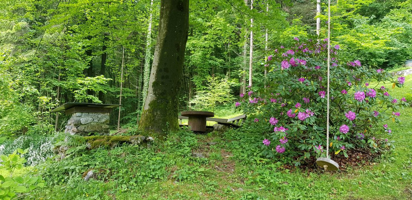 Family Friendly Chalet Getaway on a Private Glade in the Gorge near Ljubljana, Slovenia