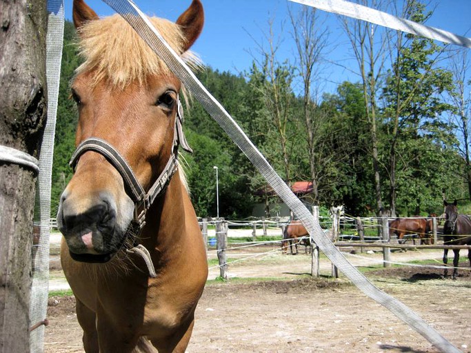 Cottages (Iška, Inner Carniola-Karst, Slovenia)