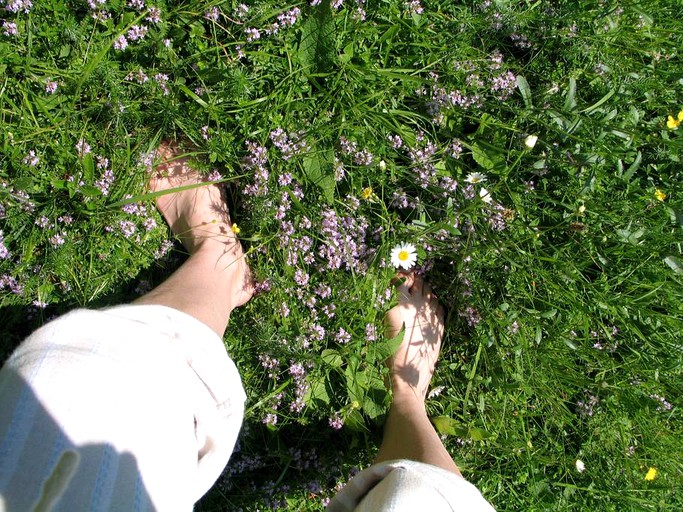 Cottages (Iška, Inner Carniola-Karst, Slovenia)