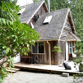 Pet Friendly Rentals Tofino British Columbia Vancouver Island