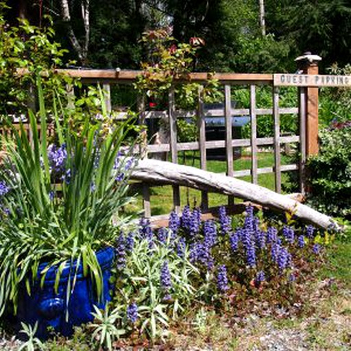 Cabins (Tofino, British Columbia, Canada)