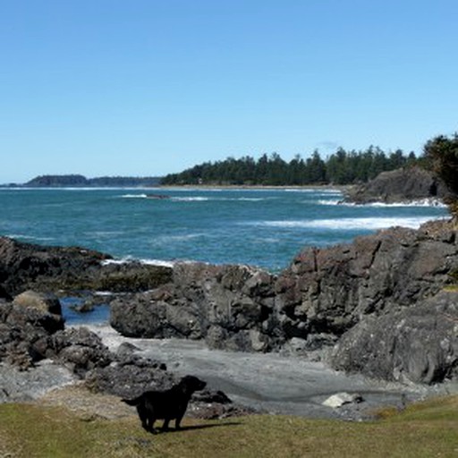 Cabins (Tofino, British Columbia, Canada)