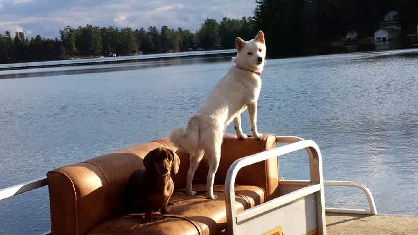 Cozy Spacious Cottage on Private Island for an Unforgettable Family Adventure on Brantingham Lake, New York