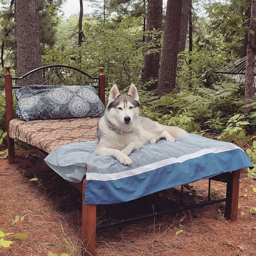 Vacation Rentals (United States of America, --, New York)