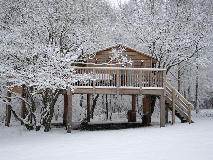 Tree Houses (Ryde, England, United Kingdom)