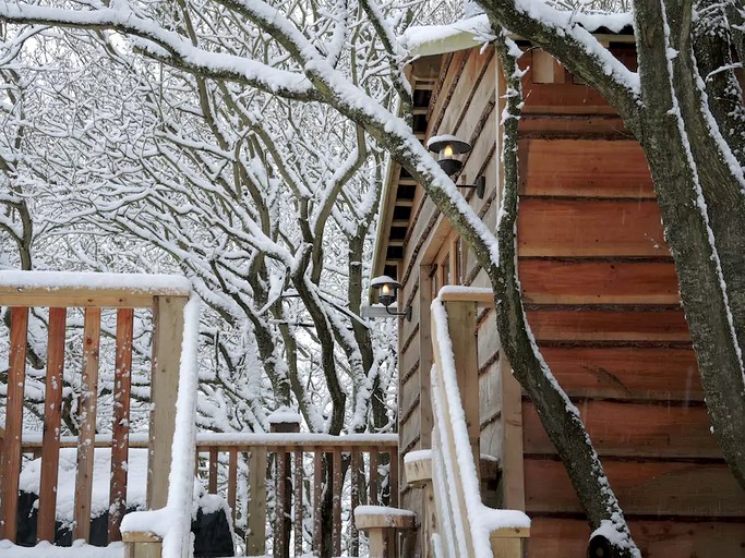 Tree Houses (Ryde, England, United Kingdom)