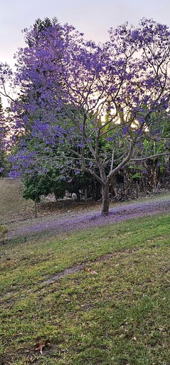 Tiny Houses (Australia, Samford Valley, Queensland)