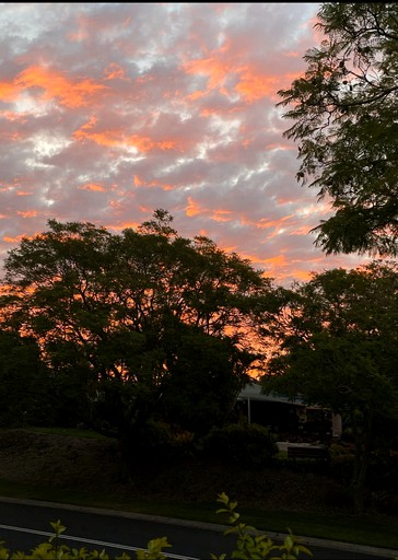 Tiny Houses (Australia, Samford Valley, Queensland)