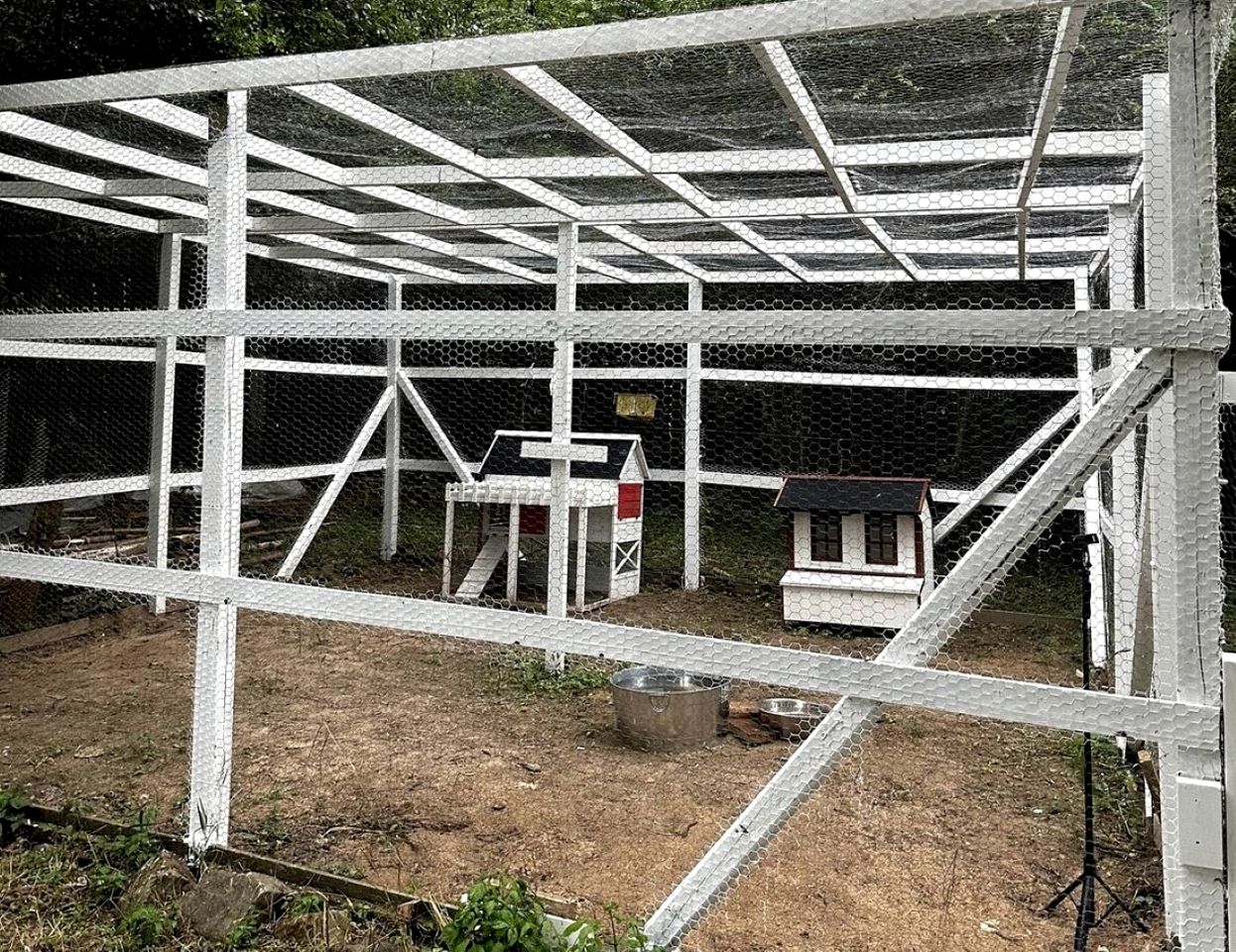 Incredible Safari Tent with Fire Pit in Murfreesboro, Arkansas