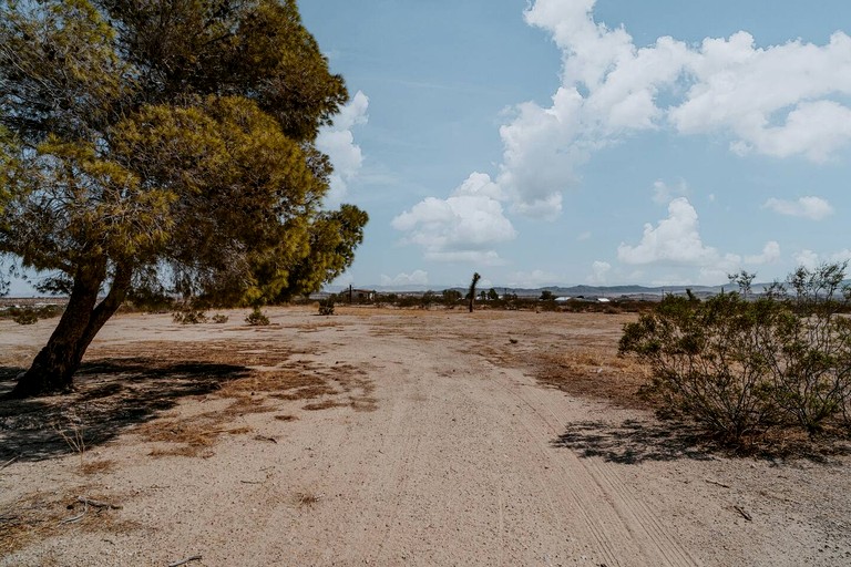 Vacation Rentals (United States of America, Joshua Tree, California)