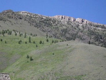 Cabin Rental near Yellowstone National Park in Island Park, Idaho photo 4