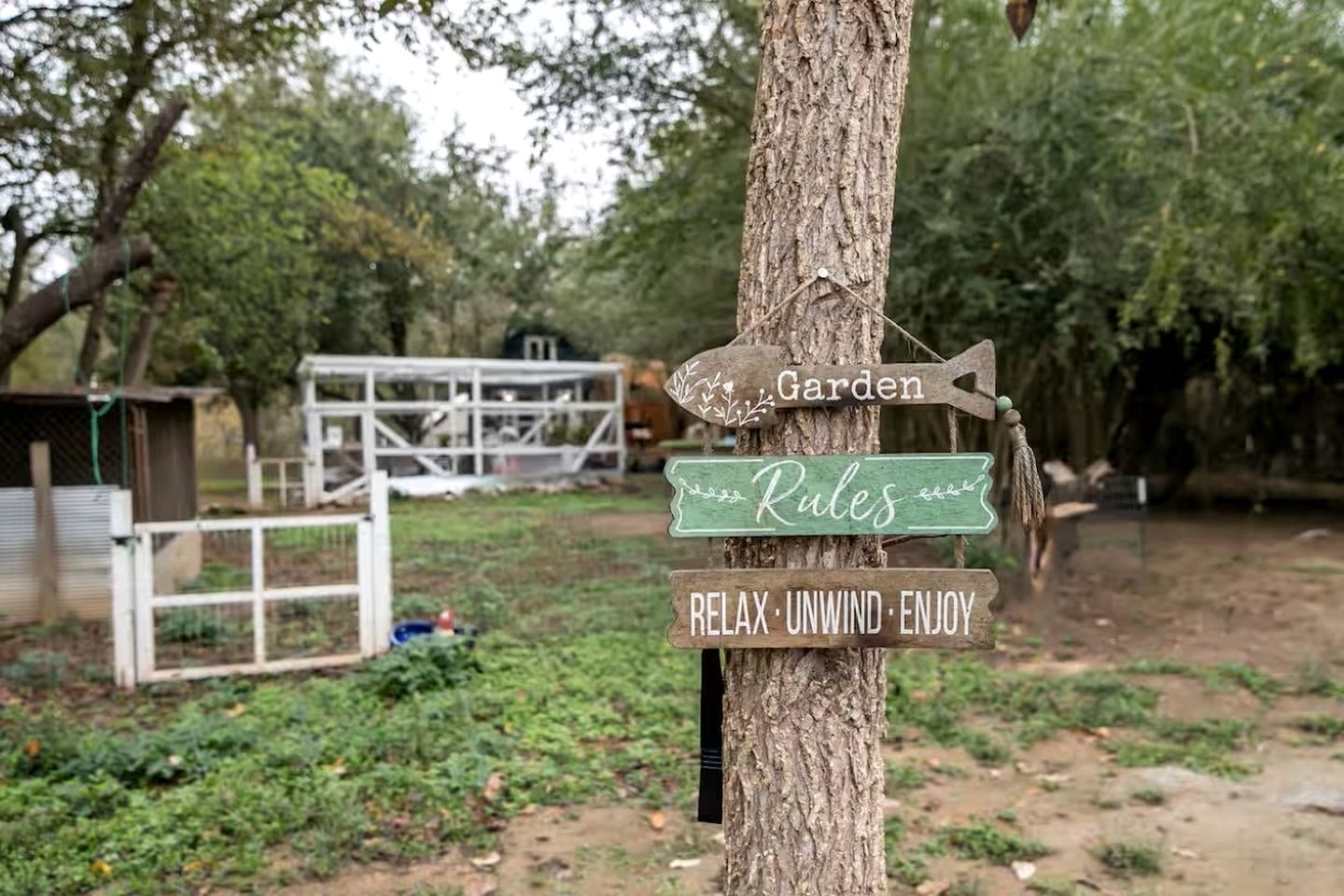 Secluded Safari Tent Nestled Amidst Trees in Murfreesboro, Arkansas