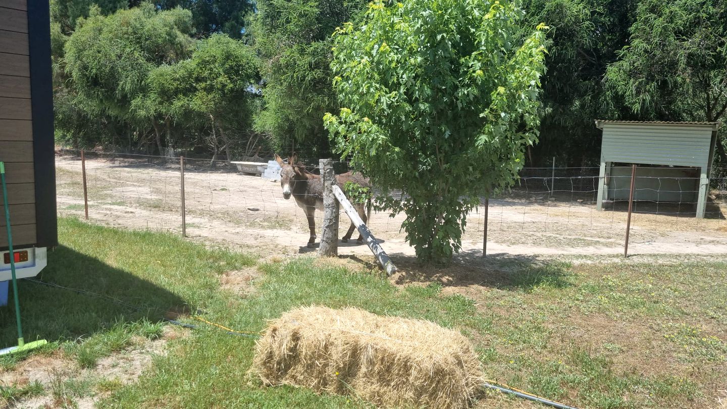 Victoria Tiny House for Couples Glamping on a Homestead