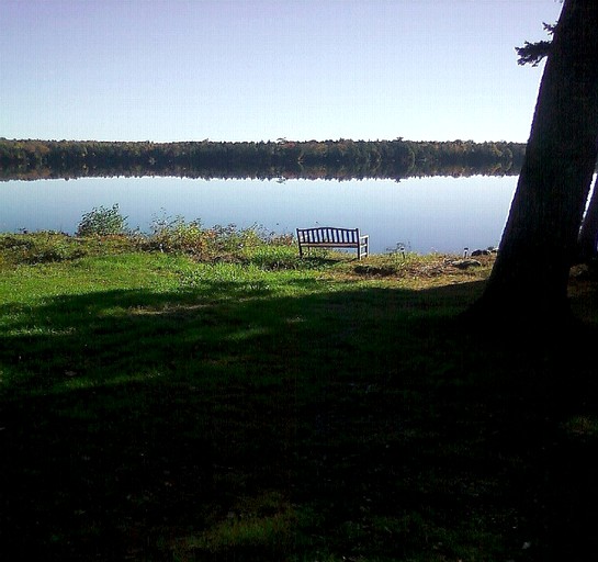 Jennie Cottage, Cottages, Benedicta, United States of America